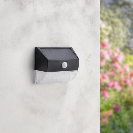 Applique Murale Solaires LED Mus avec capteur de mouvement