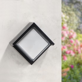 Applique LED Murale Cinza CCT