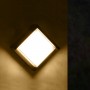 Applique LED Murale Cinza CCT