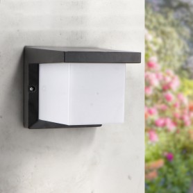 Applique LED Murale Dakota 12W
