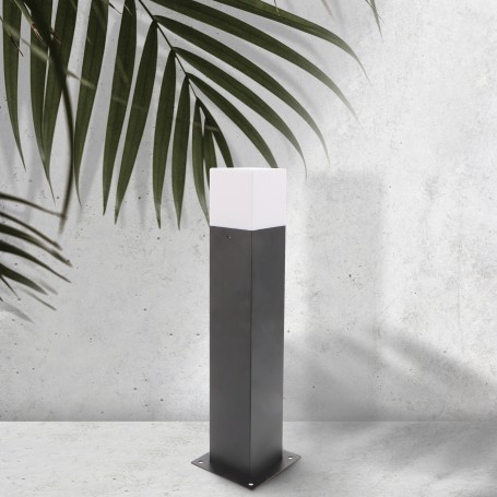 Borne Design