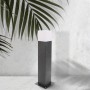 Borne Design