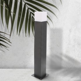 Borne Design Plus