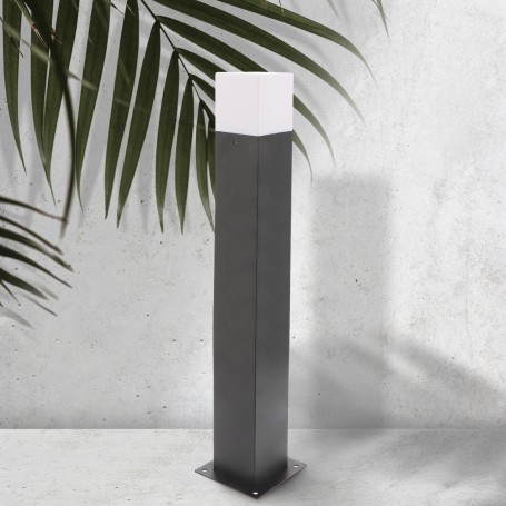Borne Design Plus