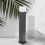 Borne Design Plus