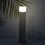 Borne Design Plus