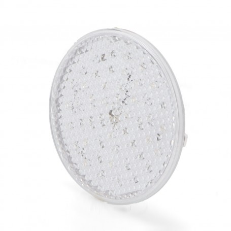 Ampoule LED PAR56 Serie Next 25W IP68 RGBW à deux fils pour Piscine